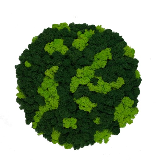 Mix Reindeer Moss Island Diameter 42 cm - Spring Green & Dark Green